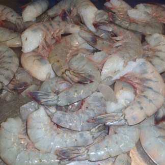 Imported Frozen Shrimp 16/20 Peeled and Deveined lb