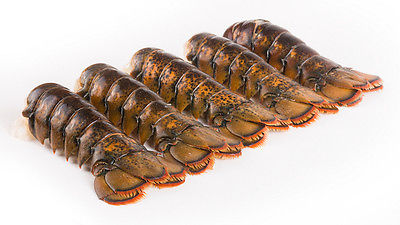 LOBSTER TAILS 4-5 OZ. EACH